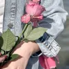 19.hno_