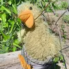 patito_studio