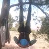 lazydz6