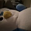wyatt_gen22
