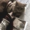 habiba_jannat88