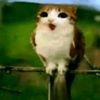 un_random6854