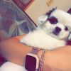 _.js_me.saritaa._