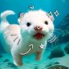 kasumy_chumbes