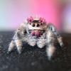 spoodlesandnoodles