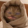 nutchanjjnnjjn