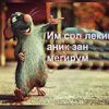 rahmon6752
