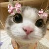 loppp_00youuuu