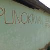 punokawan.berkah