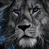 MOTIVATION LORD