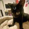 billyenjoyer