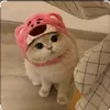 thaohuyennez