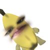 nuidts3