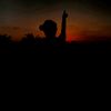 reyad.reda77
