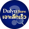 quickdecodeofdulynsure