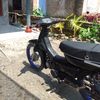 astrea_panglima