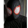 nireykastha10