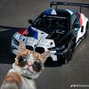 gustavo.villanuev889