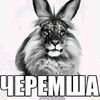 postthismeoweveryweek