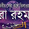 md.majid6934
