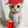 calivan_urfavasian978