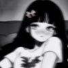 shine12341516