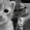 qwqwqwjk