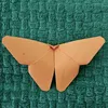origami.paper8