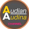 Audian Audina