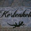 kertenkele