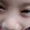 cutecore454