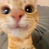jonxz_19