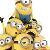 minions9743