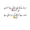 raziq.somroo