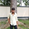 lion24653