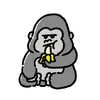 trphongg8