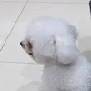 hfcmmmmmm