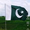 sherazisyed.syeds