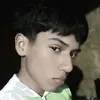 fabrii_539