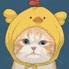quc.anh1052