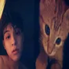 wilest_1