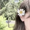 hjsje829nspopb