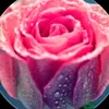 user71235810142386
