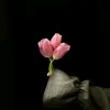 fe_rafero17