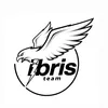 ibris._team