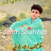 mohammad.shahzad385