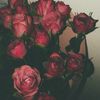 nooran.ahmed4