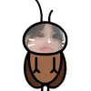 lmnhiinee