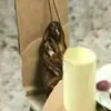insano2979