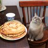 the_lupine_0_0